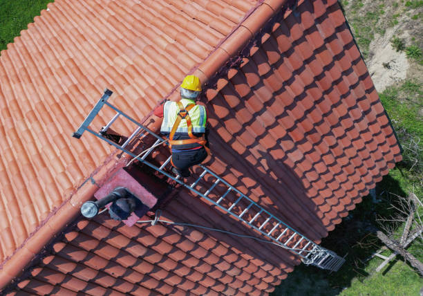 Best Storm Damage Roof Repair  in Silver Grove, KY